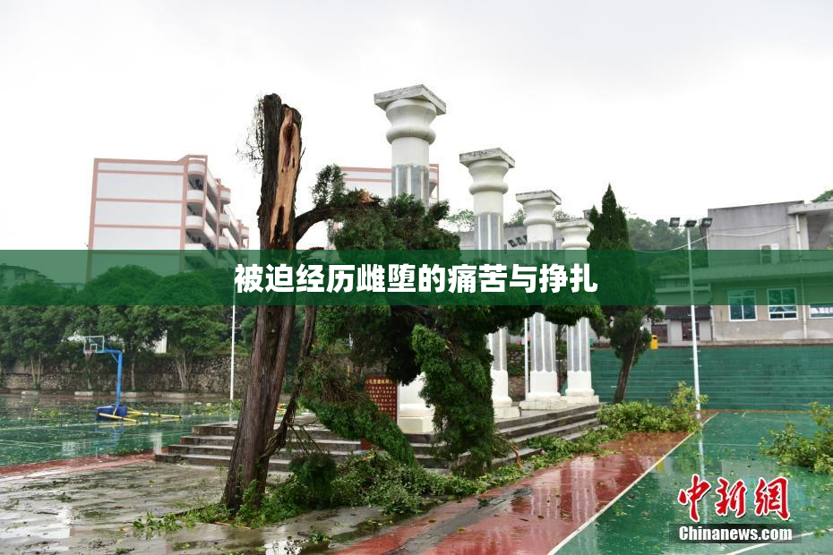 被迫经历雌堕的痛苦与挣扎