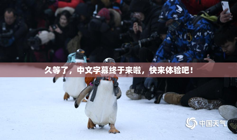 久等了，中文字幕终于来啦，快来体验吧！