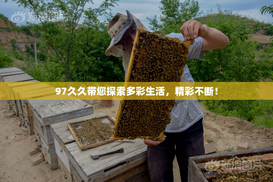 97久久带您探索多彩生活，精彩不断！