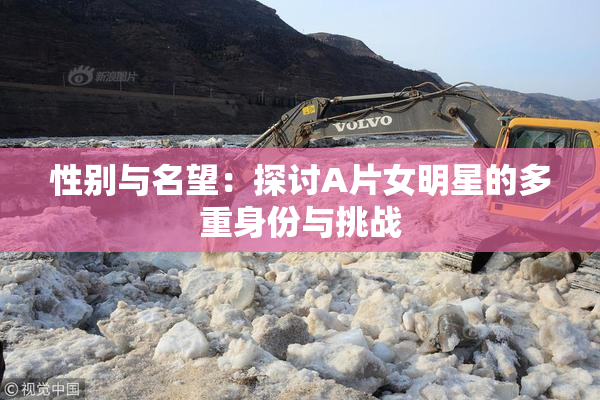 性别与名望：探讨A片女明星的多重身份与挑战