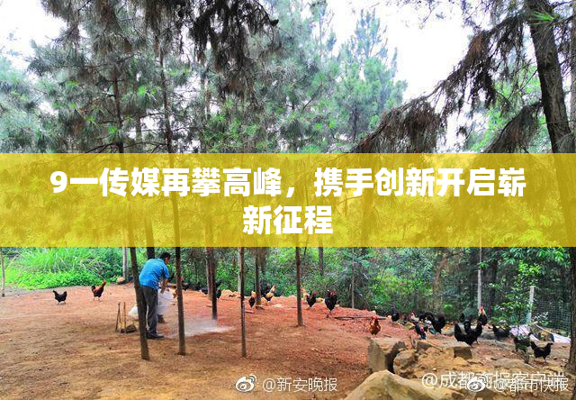 9一传媒再攀高峰，携手创新开启崭新征程