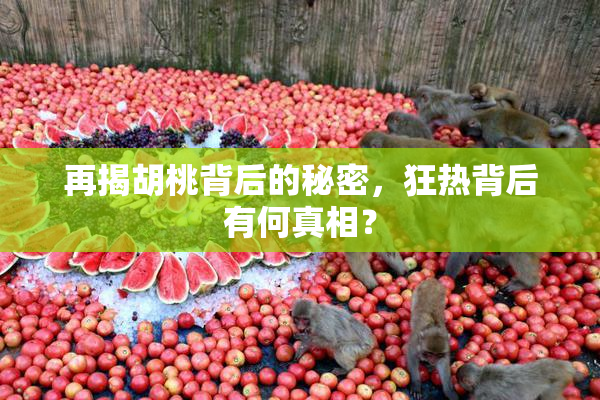 再揭胡桃背后的秘密，狂热背后有何真相？