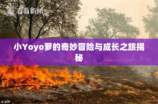 小Yoyo萝的奇妙冒险与成长之旅揭秘