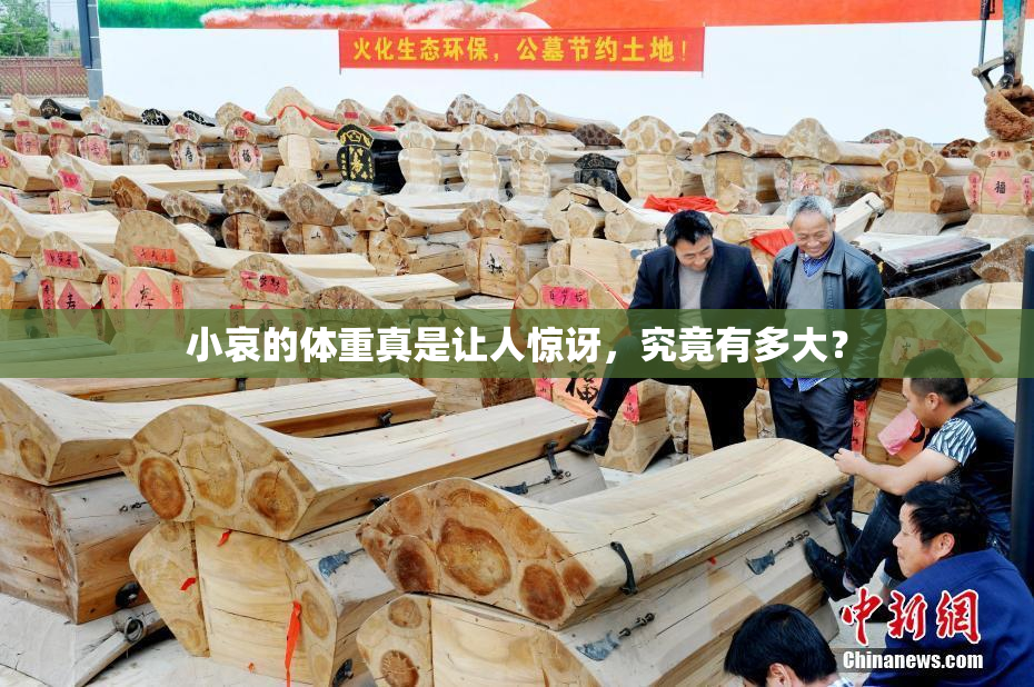 小哀的体重真是让人惊讶，究竟有多大？