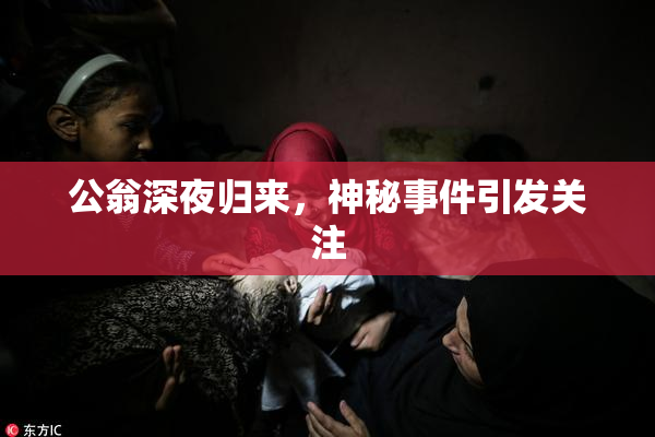 公翁深夜归来，神秘事件引发关注