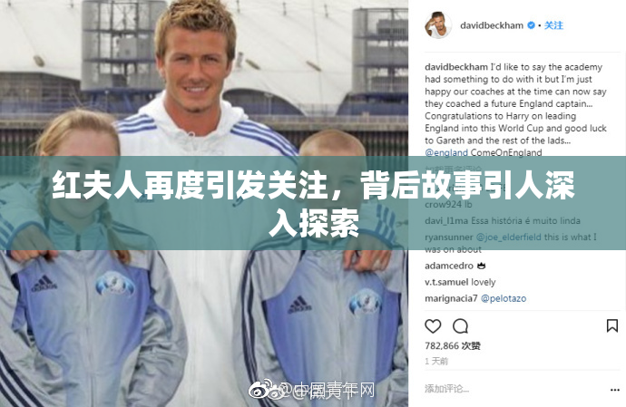红夫人再度引发关注，背后故事引人深入探索