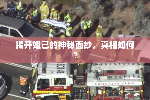 揭开妲己的神秘面纱，真相如何？