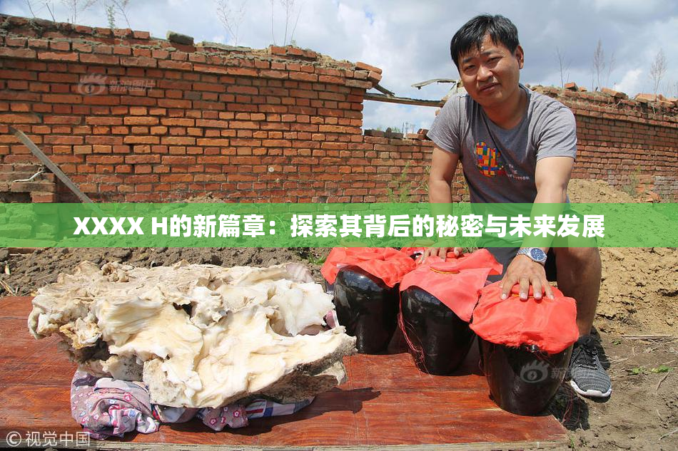 XXXX H的新篇章：探索其背后的秘密与未来发展