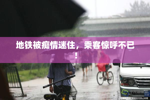地铁被痴情迷住，乘客惊呼不已！
