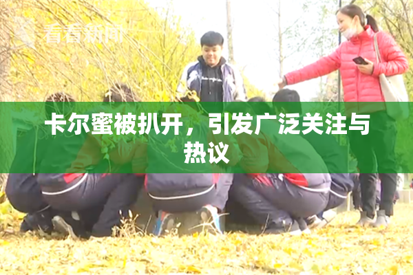 卡尔蜜被扒开，引发广泛关注与热议