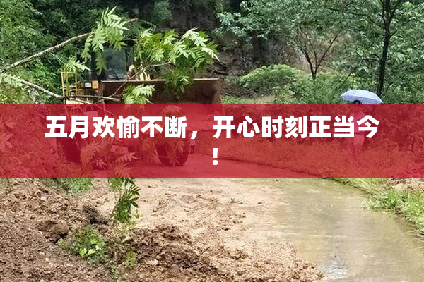 五月欢愉不断，开心时刻正当今！