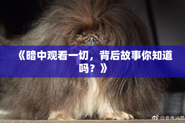 《暗中观看一切，背后故事你知道吗？》
