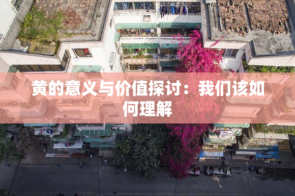 黄的意义与价值探讨：我们该如何理解