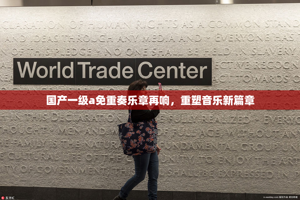 国产一级a免重奏乐章再响，重塑音乐新篇章