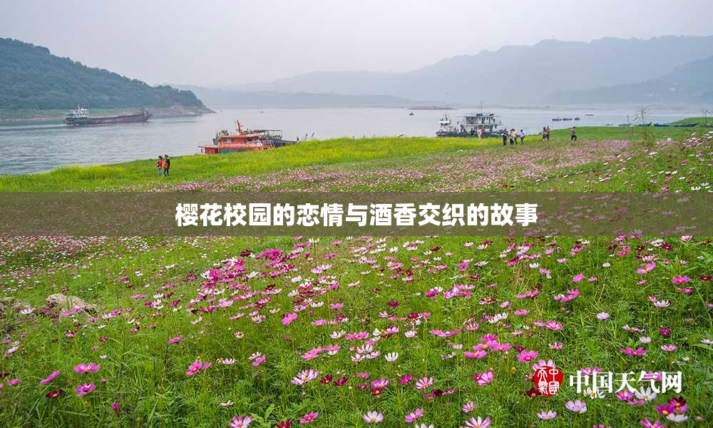 樱花校园的恋情与酒香交织的故事