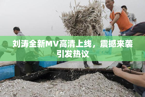 刘涛全新MV高清上线，震撼来袭引发热议