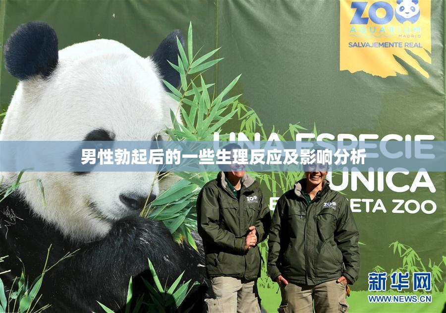 男性勃起后的一些生理反应及影响分析