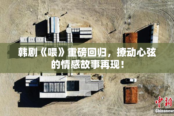 韩剧《喂》重磅回归，撩动心弦的情感故事再现！