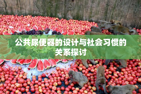公共尿便器的设计与社会习惯的关系探讨