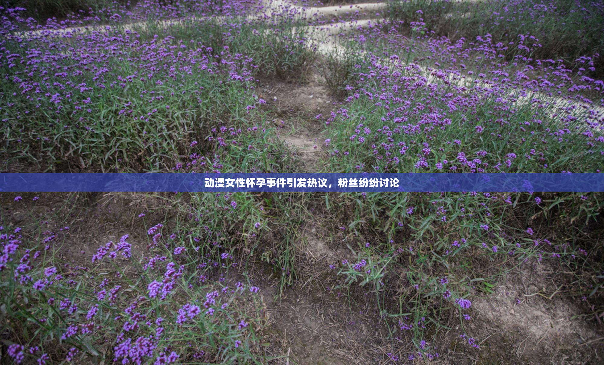 动漫女性怀孕事件引发热议，粉丝纷纷讨论