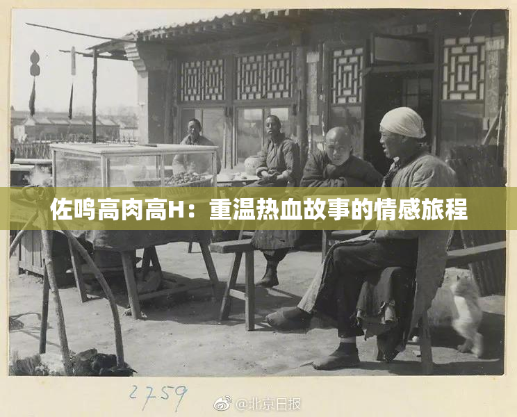 佐鸣高肉高H：重温热血故事的情感旅程