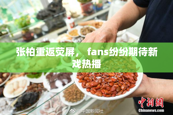 张柏重返荧屏， fans纷纷期待新戏热播