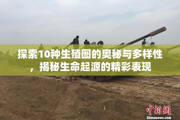 探索10种生殖图的奥秘与多样性，揭秘生命起源的精彩表现