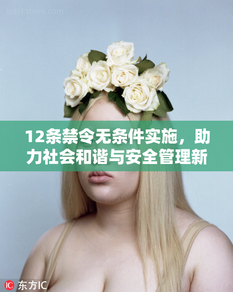 12条禁令无条件实施，助力社会和谐与安全管理新标准