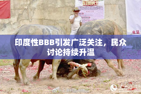 印度性BBB引发广泛关注，民众讨论持续升温