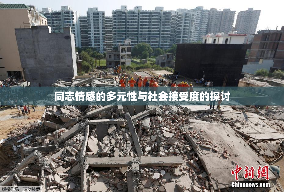 同志情感的多元性与社会接受度的探讨