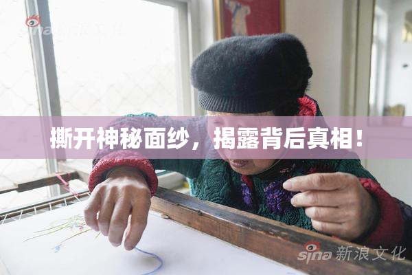 撕开神秘面纱，揭露背后真相！