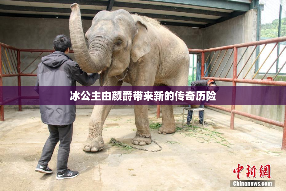 冰公主由颜爵带来新的传奇历险