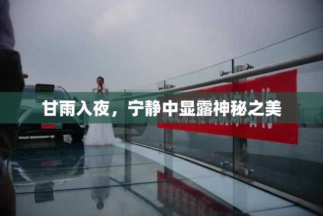 甘雨入夜，宁静中显露神秘之美