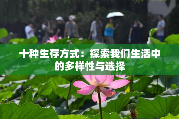 十种生存方式：探索我们生活中的多样性与选择