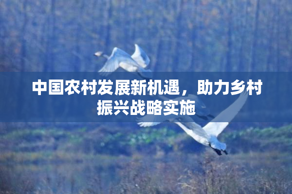 中国农村发展新机遇，助力乡村振兴战略实施