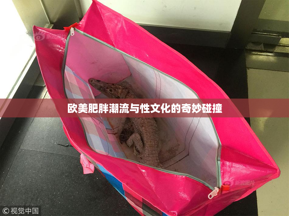 欧美肥胖潮流与性文化的奇妙碰撞