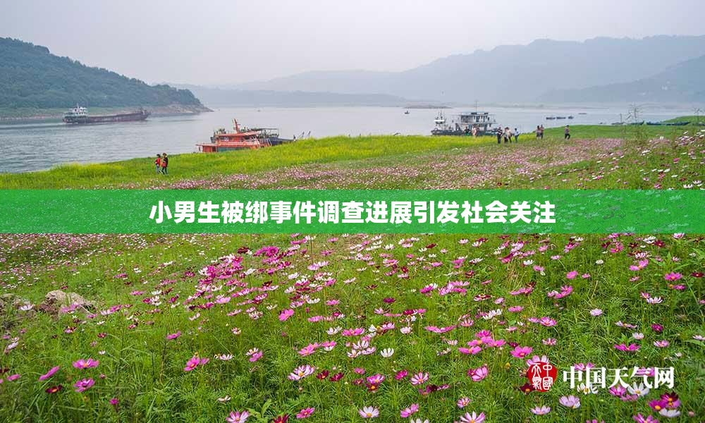 小男生被绑事件调查进展引发社会关注