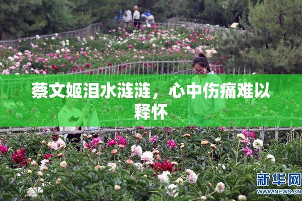 蔡文姬泪水涟涟，心中伤痛难以释怀