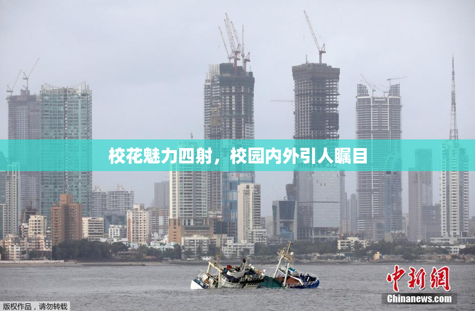 校花魅力四射，校园内外引人瞩目
