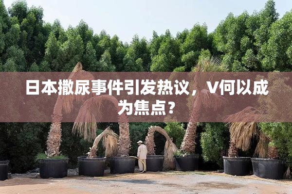 日本撒尿事件引发热议，V何以成为焦点？