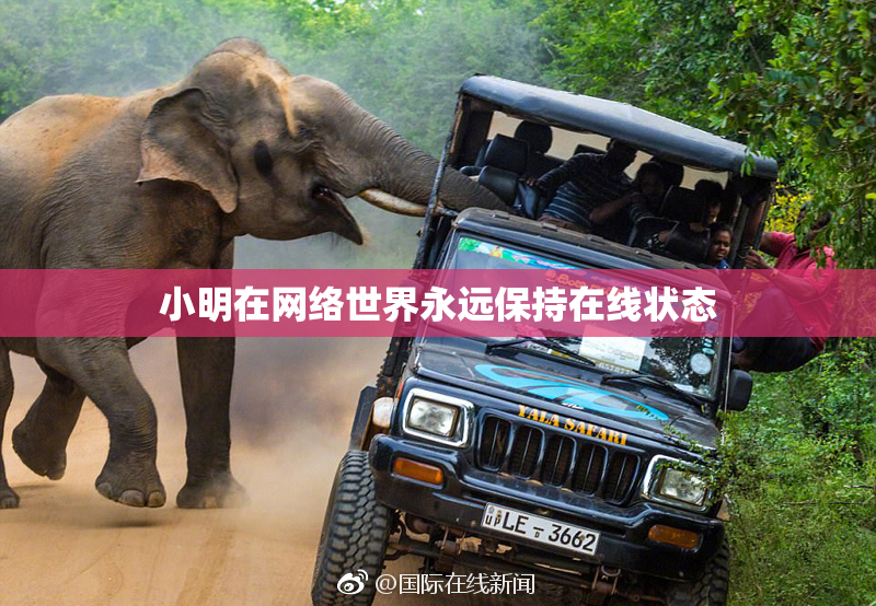 小明在网络世界永远保持在线状态