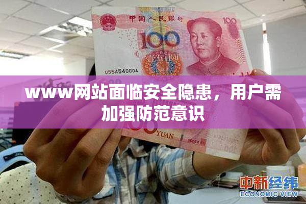 www网站面临安全隐患，用户需加强防范意识