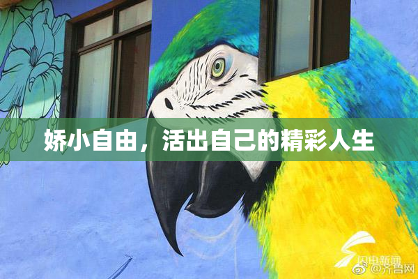娇小自由，活出自己的精彩人生