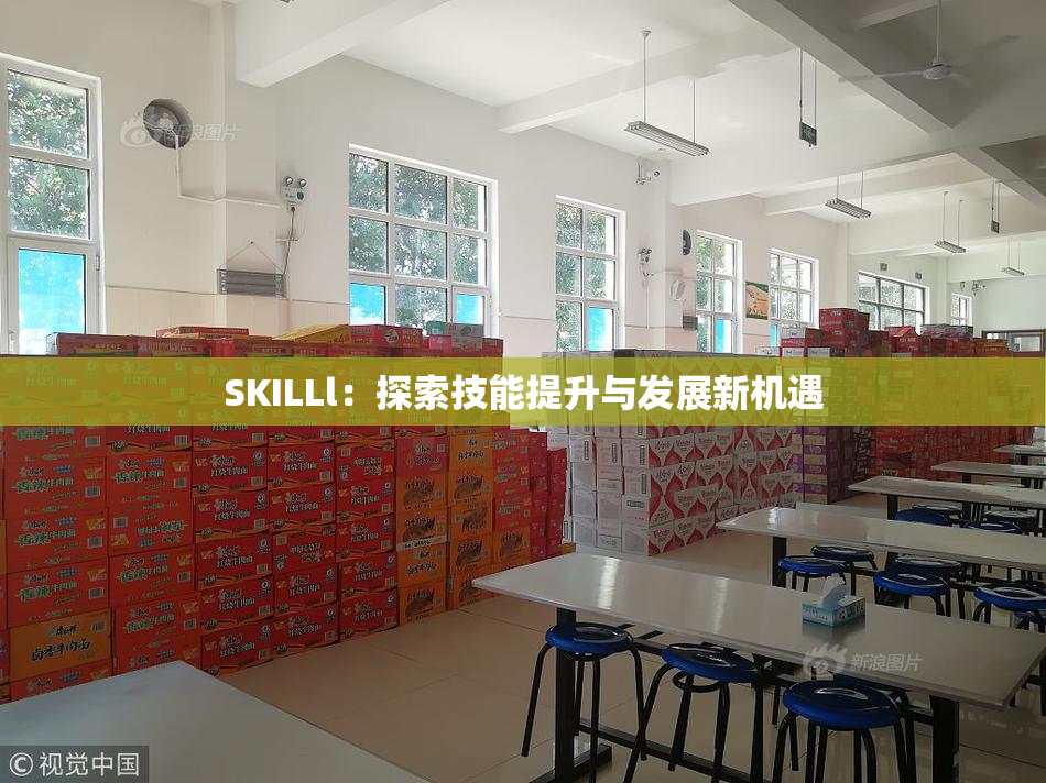 SKILLl：探索技能提升与发展新机遇