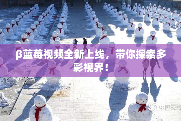 β蓝莓视频全新上线，带你探索多彩视界！