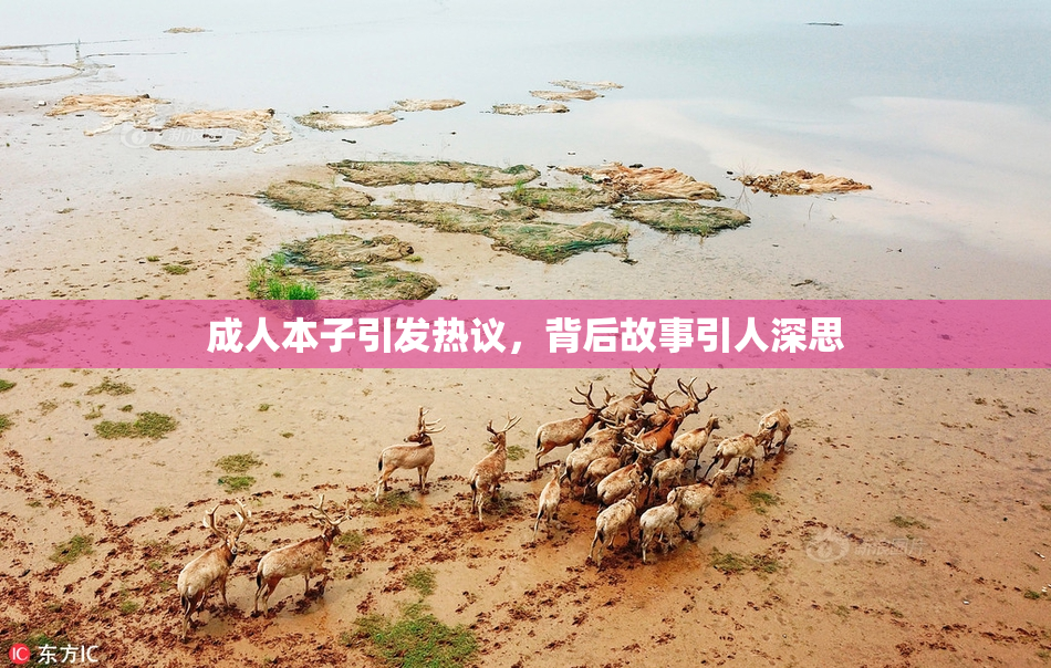 成人本子引发热议，背后故事引人深思