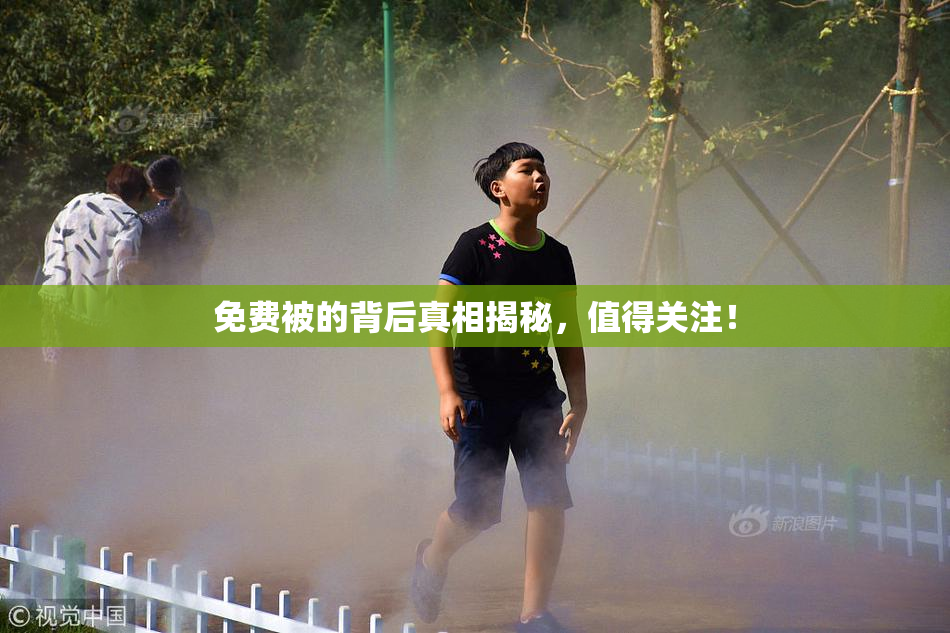 免费被的背后真相揭秘，值得关注！