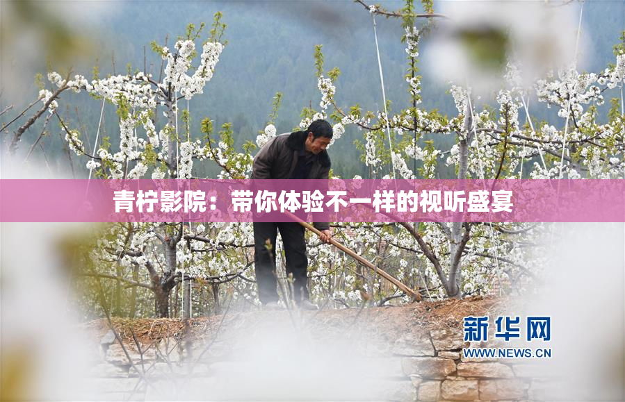 青柠影院：带你体验不一样的视听盛宴