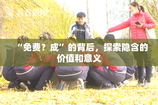 “免费？成”的背后，探索隐含的价值和意义