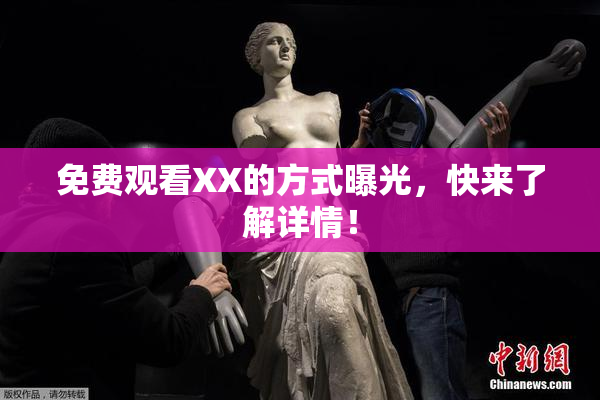 免费观看XX的方式曝光，快来了解详情！
